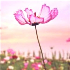 Meet your Posher, Ns